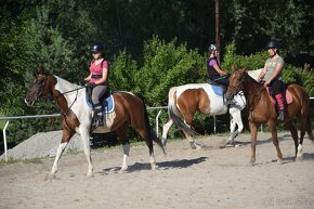 Jezdecký tábor - s intenzivní výukou jízdy na koni - 13