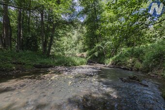 Prodej soustavy rybníků 1939 m2, Kříženec u Mariánských Lázn - 13