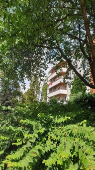 Byt 2+1, 69 m2, lodžie, výtah, sklepy, parkování. - 13