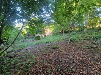 Prodej rodinného domu - Vidlatá Seč - 13