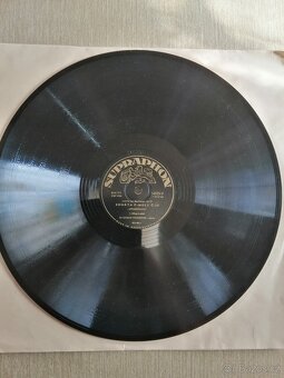 Gramofonové desky - 13