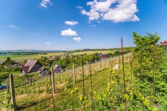 Prodej vinařství Konárovice - 13