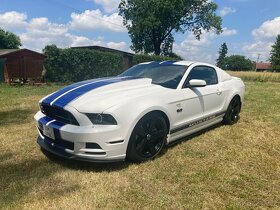 Ford Mustang 5,0l, V8, GT R19 orig., Shelby, TOP - 13