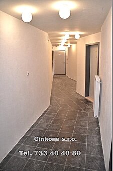 Pronájem bytu 2+kk s terasou 25 m² Plzeň - Papírnická - 13