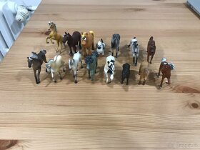 Pony Club - 13