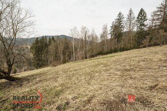 Prodej, pozemky/louka, 3901 m2, Dolní Rokytnice , Rokytnice  - 13