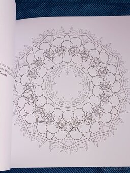 Omalovánky pro dospělé: Inspirativní a ............. - 13