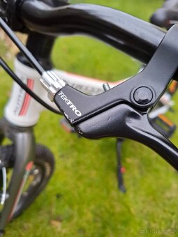 Author Record 16 - 13