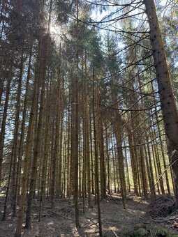 Prodám pozemky v k.ú. Horní Bolíkov - 13