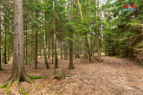 Prodej souboru pozemků, 108437 m², Vysočina - 13