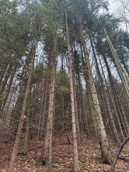 Prodej pozemků k.ú. Huslenky (2) - 13