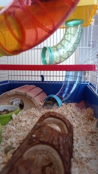 Klec pro křečka - 13