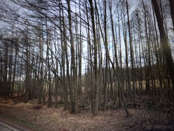 Zemědělská Usedlost - 13