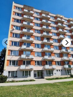 Milevsko 1+1+balkon+sklep-pronájem bytu - 13