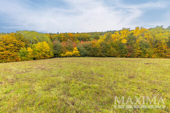Pozemek o ploše 5229 m2 - Lažany, Lažany - 13