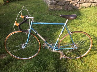 Favorit F1s Campagnolo - 13