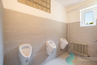 Pronájem, administrativní budovy, Školní ul., České Budějovi - 13