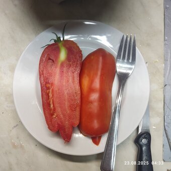 Perma nehybridní semena  rajčat - 13