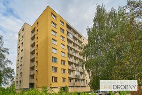 Pronájem bytu 3+1, 67m2, Pardubice - Lidmily Malé - 13
