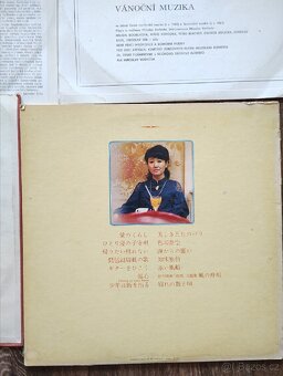 LP desky -22 kusů - 13