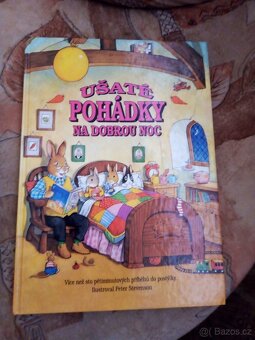 Dětská literatura - 13