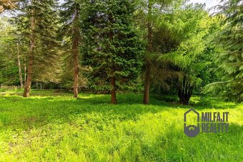 Prodej zemědělské usedlosti, 235 m² - Nové Město pod Smrkem - 13