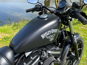 Harley-Davidson XL 883N Sportster Iron - 13