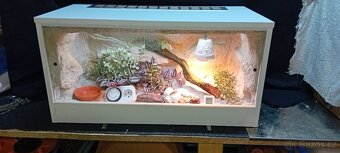 Nové terárium - 13