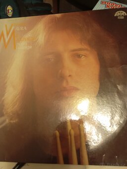 LP deska viz foto - 13