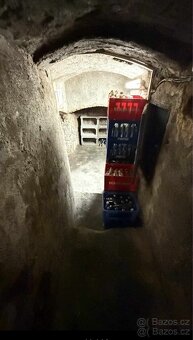 ⭐ Stylový sklípek 98 m² – kompletně zařízeno, otevřete hned - 13