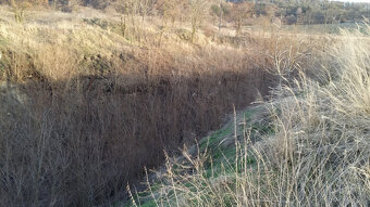 Zahrada, rokle, pozemek k rekeraci,10.731m2, Bechlín u RCE - 13