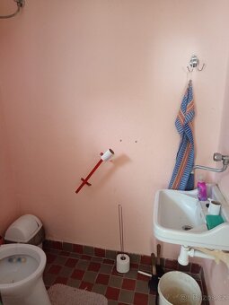 Prodej RD 3+1 v Hraběticich v blízkosti rakouských hranic - 13