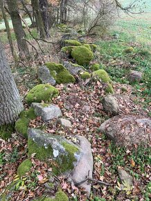 přírodní kameny, částečně porostlé mechem - 13