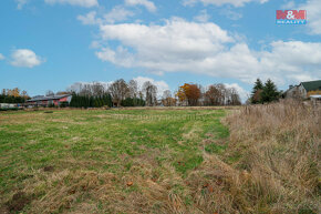 Prodej pozemku k bydlení, 8.187 m², Kopaniny, Aš - 13