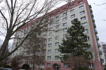 Prodej útulného bytu 2+1 v žádané lokalitě v Plzni na Doubra - 13