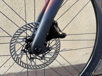 Pinarello Dogma F | 55 | 2025 | Campagnolo WRL - 13