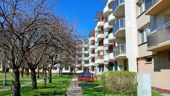 Prodej byty 2+1, 63 m2 - České Budějovice 3, ev.č. PP-7693 - 13