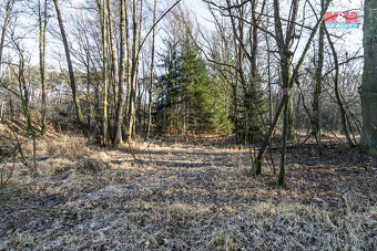 Prodej lesa, 685 m², Horšovský Týn - 13