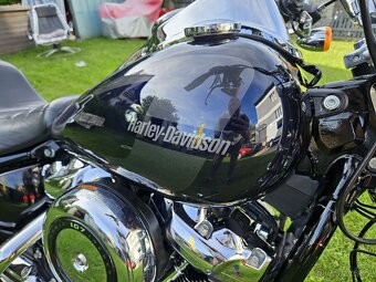 HARLEY DAVIDSON LOW RIDER FXLR 107cu M8 top 2019RV - 13
