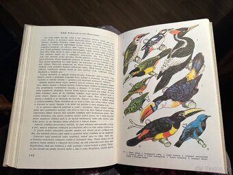 Světem zvířat - 13