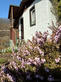 Prodej chaty 17 m², pozemek 398 m² Sázava - Černé Budy - 13