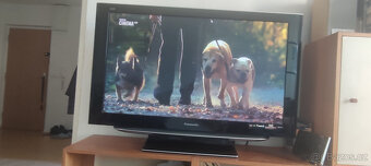 Panasonic plasma 42" - 13