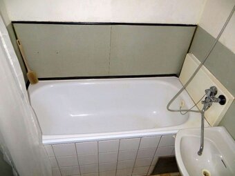 Prodej 2+1 Dobrovodská, České Budějovice -S.Vrbné - 13