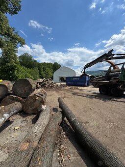 Prodej štípaného dřeva nebo kulatina na topení - 13