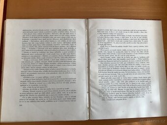 Božena Němcová: Pohorská vesnice, Česká grafická unie, 1921 - 13