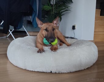 Ortopedický pelech pelíšek pro psy průměr 90cm - 13