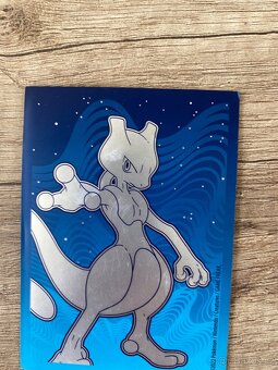 pokemoni - 13