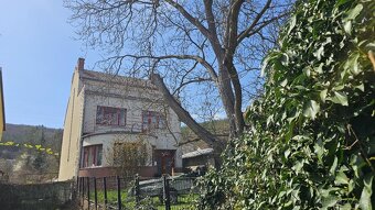 Vilka s arkýřem v České u Brna na parcele 465m2, vjezd, park - 13