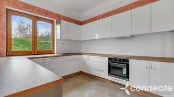 Velkorysý dům 9+kk s užitnou plochou 697 m2  Bezděkov u Žatc - 13