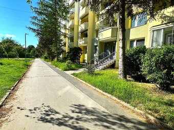Prodej, Byt, 2+1, Hutník, Veselí nad Moravou - 13